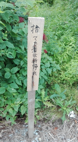 at06.jpg