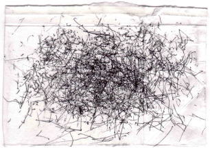 auto-mds1.jpg